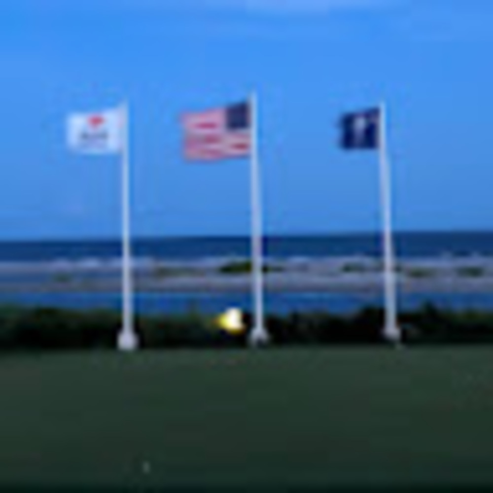 Meet your Posher, Gaylynn